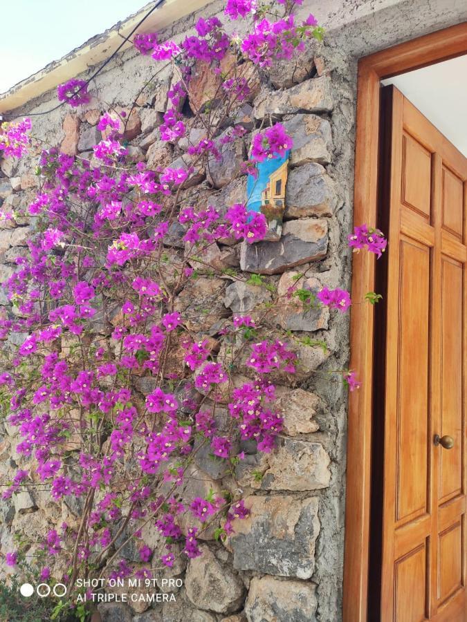 Il Piccolo Sogno In Costiera Amalfitana Villa Conca dei Marini Exterior foto